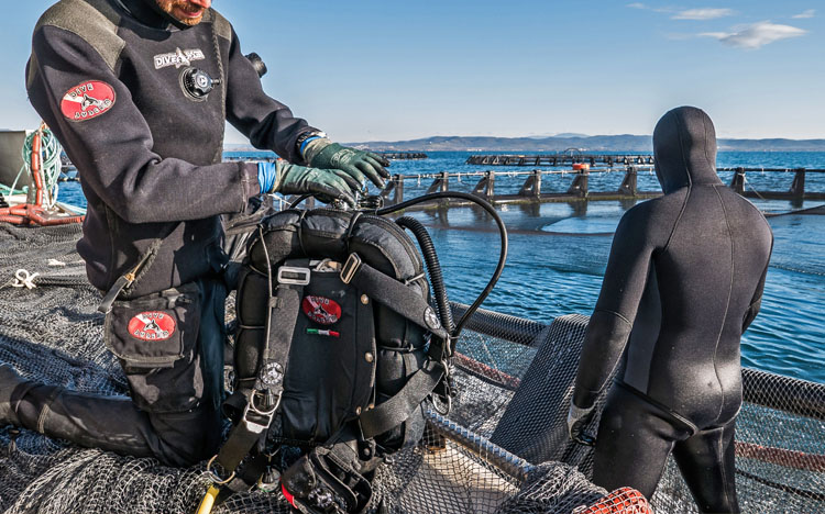 Subacquei DiveSystem al lavoro su un impianto di acquacoltura